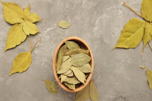 Culinary Uses of Bay Leaves: Elevating Your Dishes with Flavor