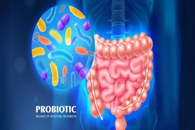 The Science of Probiotics: Unlocking Their Role in Gut Health