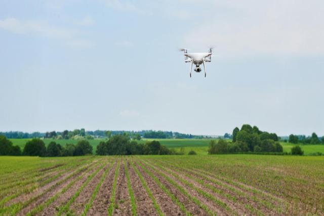 The Impact of Drone Services on Precision Agriculture