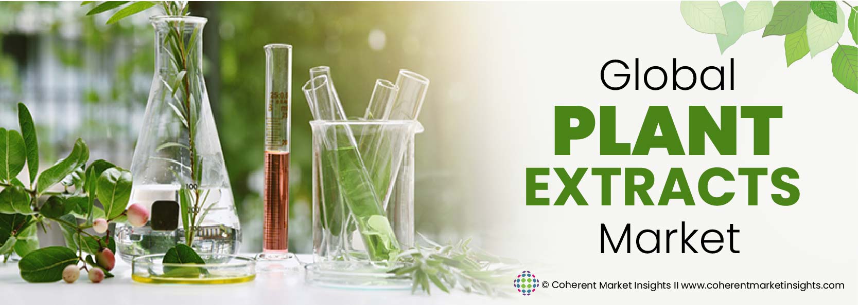 Key Players - Plant Extract Industry