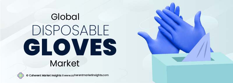 Leading Companies - Disposable Gloves Industry