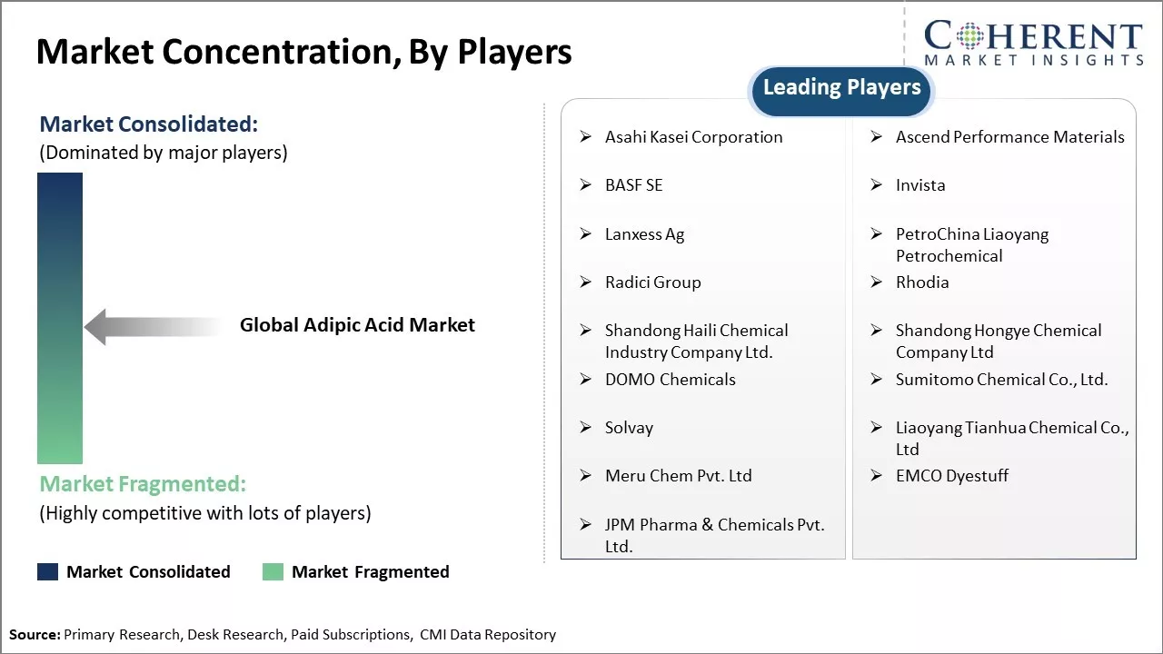 Adipic Acid Market Concentration By Players