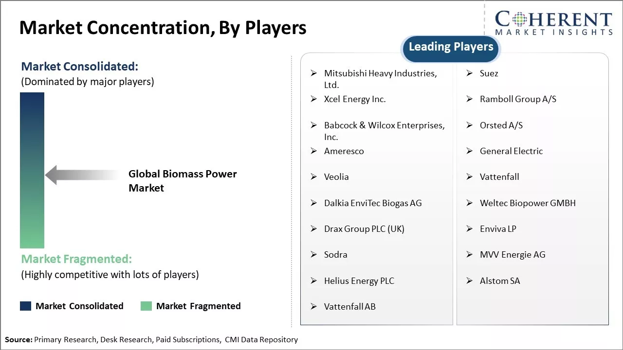 Biomass Power Market Concentration By Players