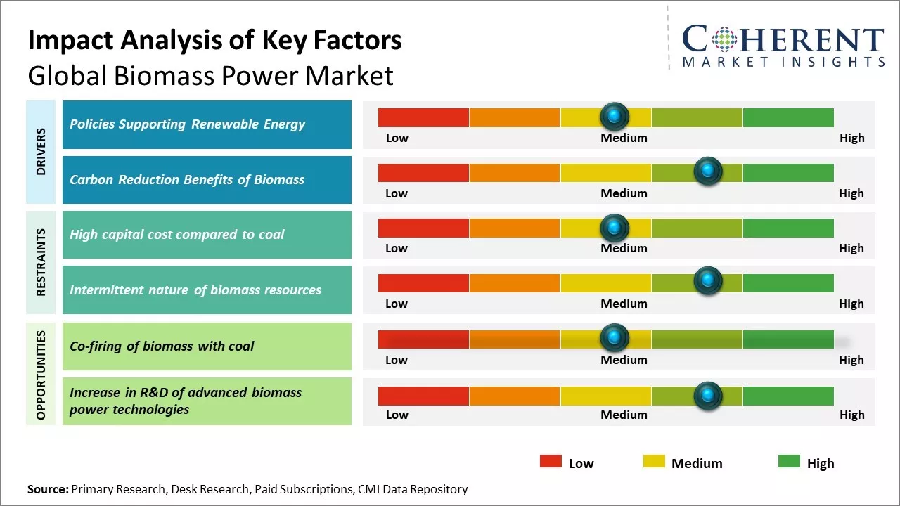 Biomass Power Market Key Factors