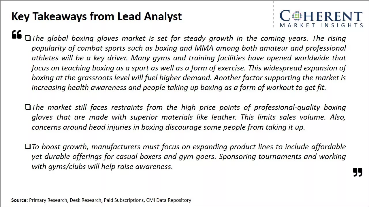 Boxing Gloves Market Key Takeaways From Lead Analyst