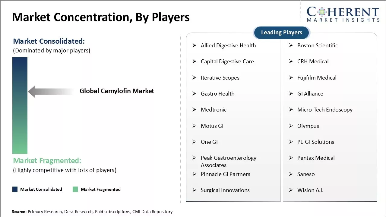 Camylofin Market Concentration By Players