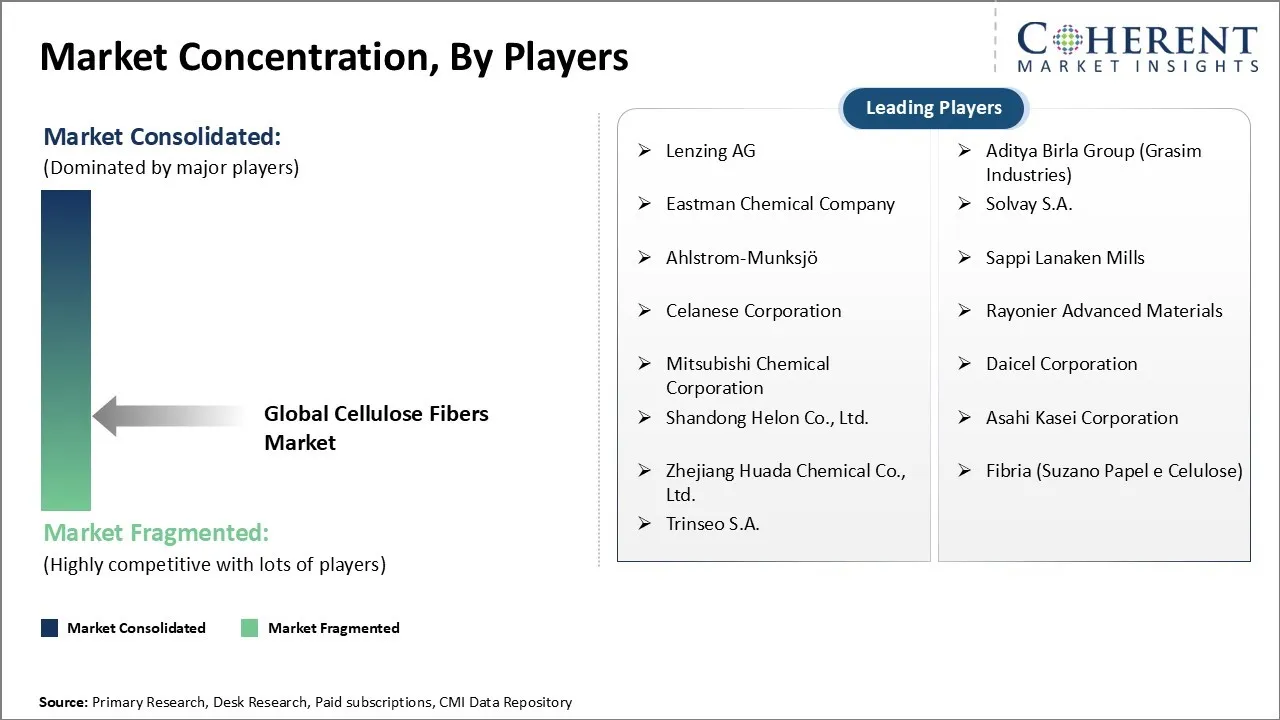 Cellulose Fibers Market Concentration By Players