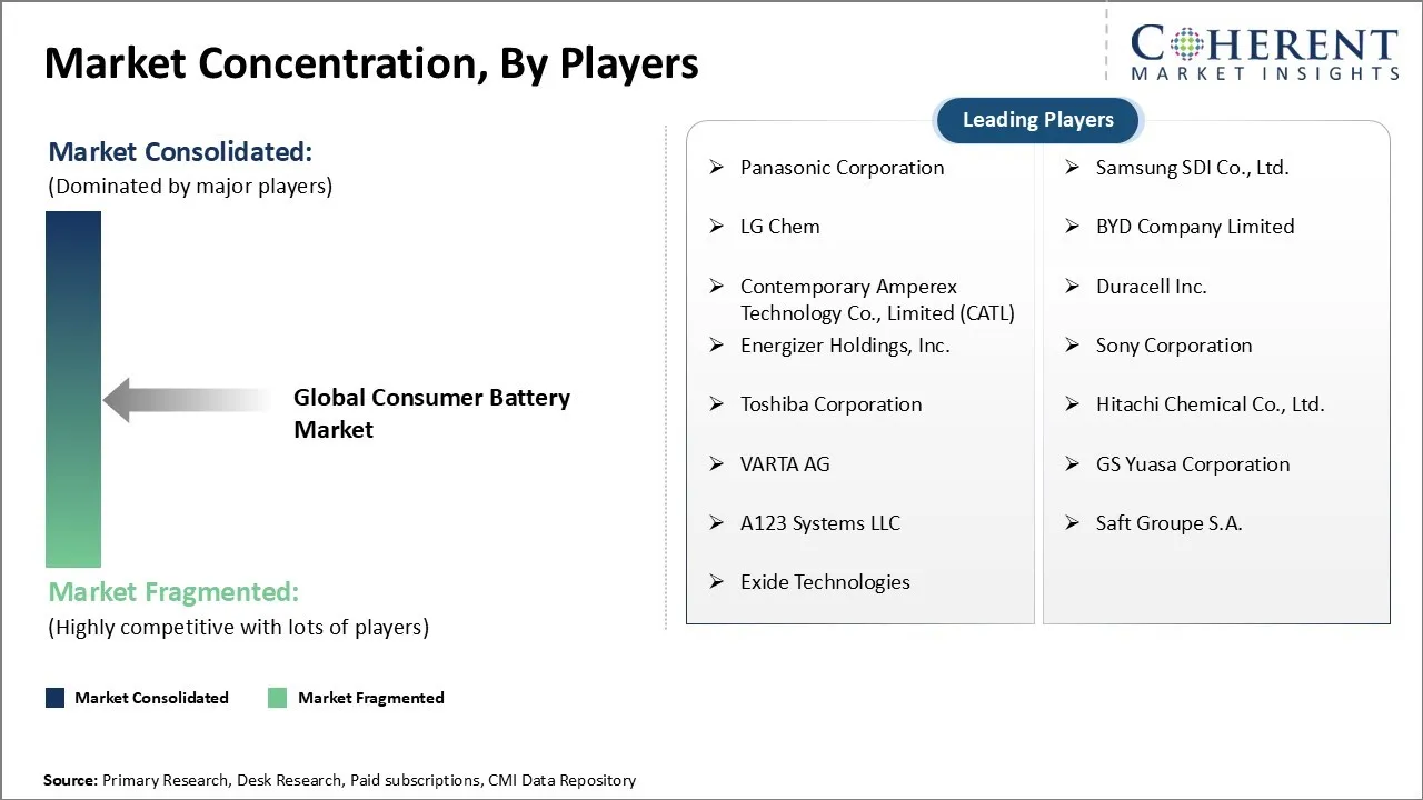 Consumer Battery Market Concentration By Players