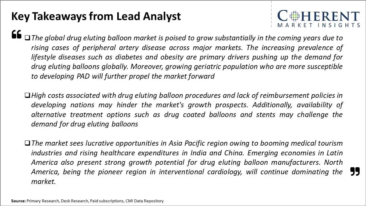 Drug Eluting Balloon Market Key Takeaways From Lead Analyst