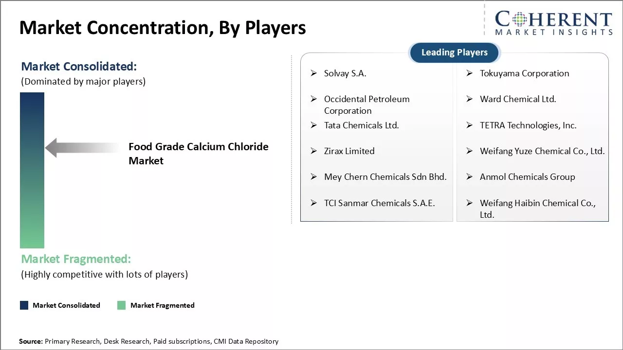 Food Grade Calcium Chloride Market Concentration By Players