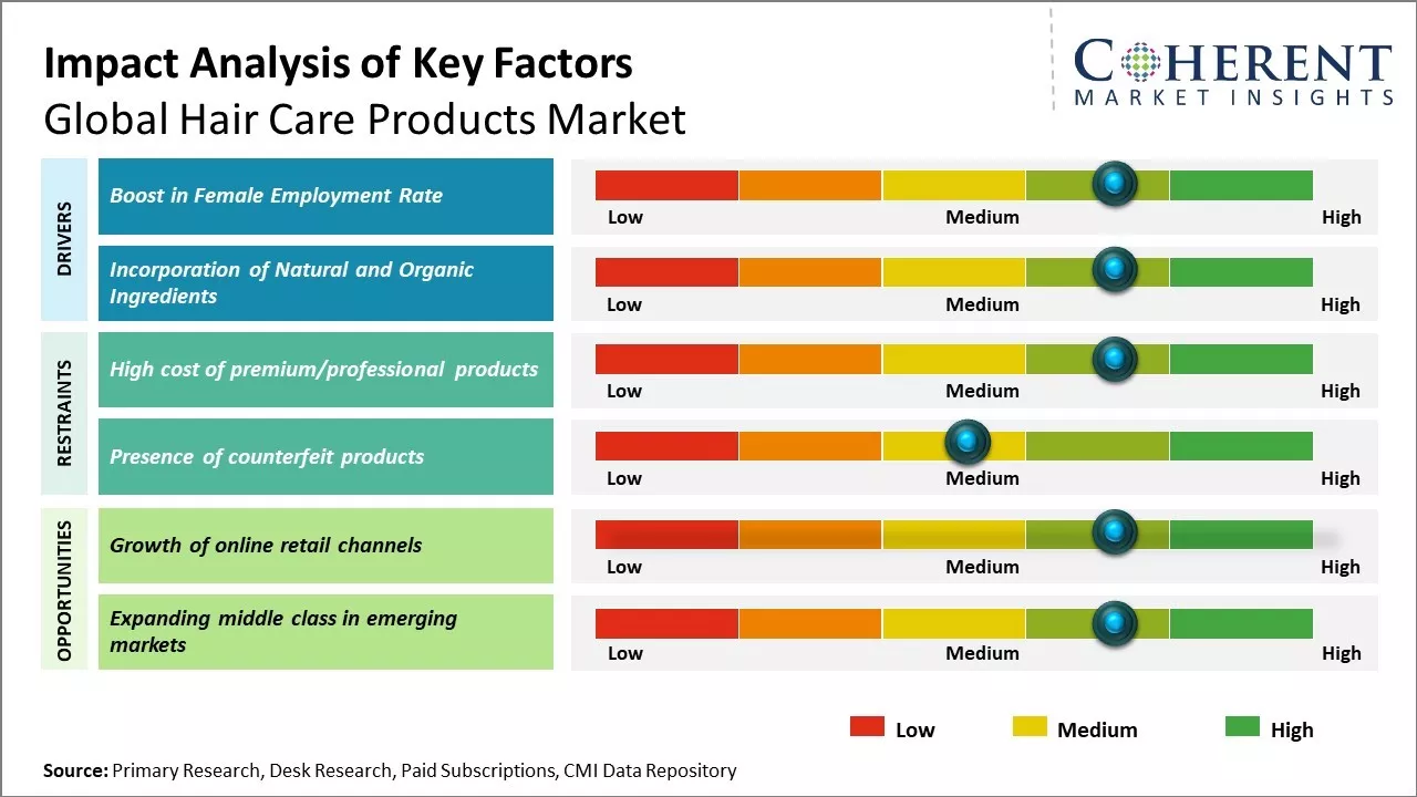 Hair Care Products Market Key Factors