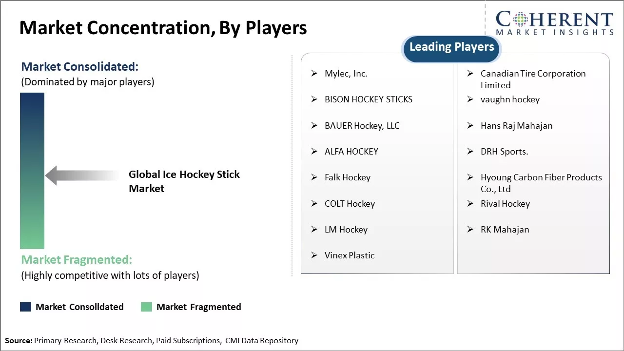Ice Hockey Stick Market Concentration By Players