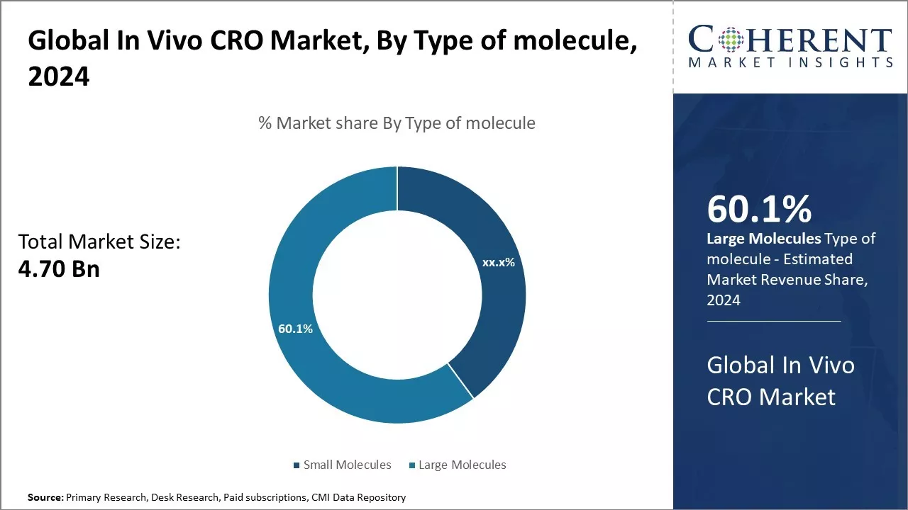 In Vivo CRO Market By Type of Molecule