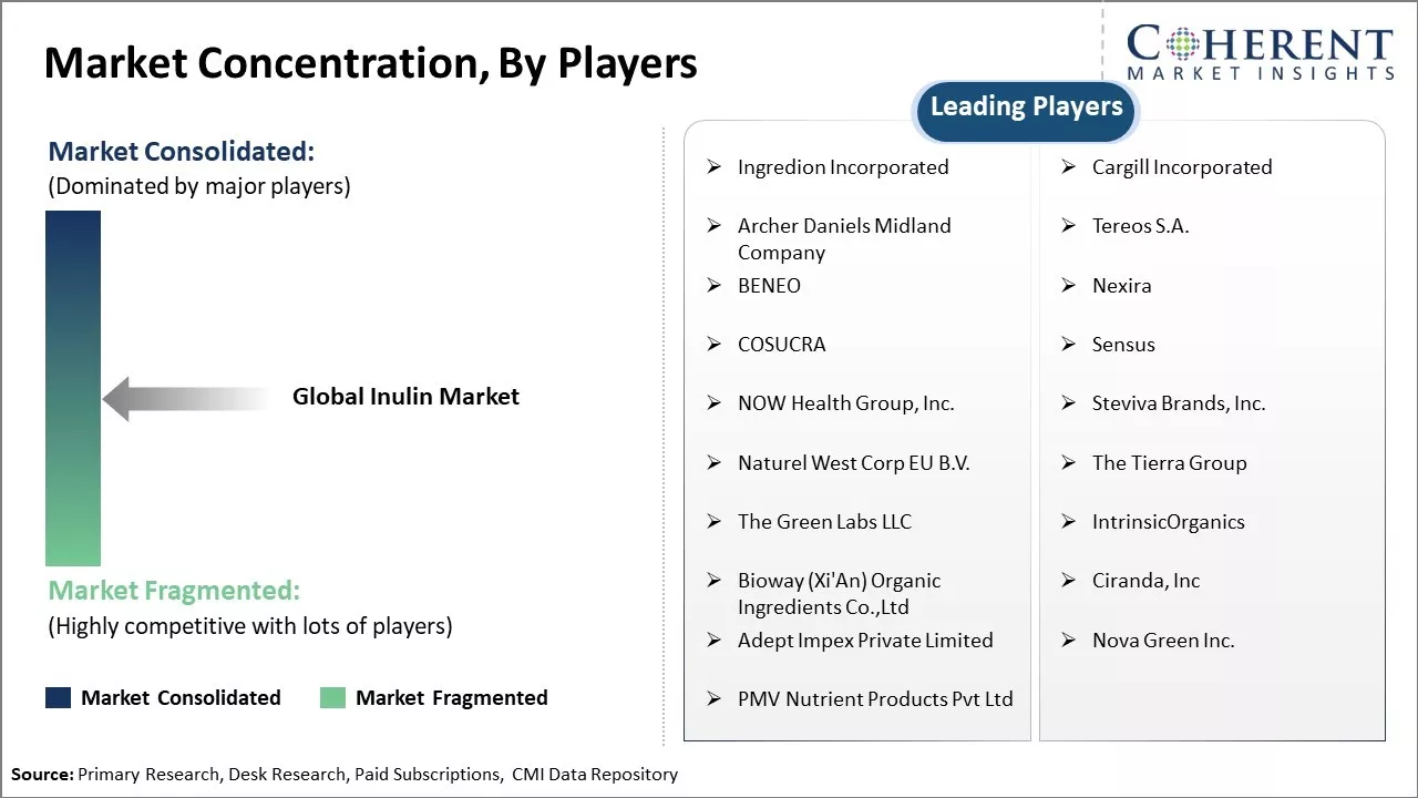 Inulin Market Concentration By Players