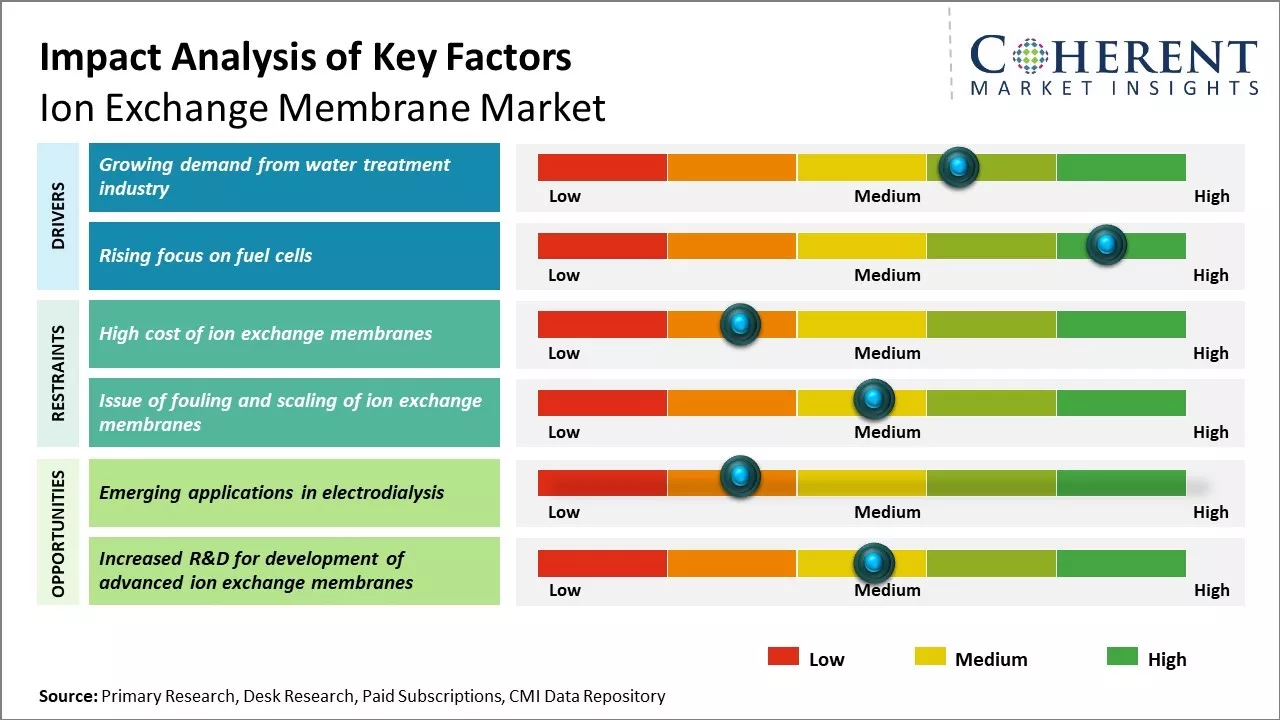 Ion Exchange Membrane Market Key Factors