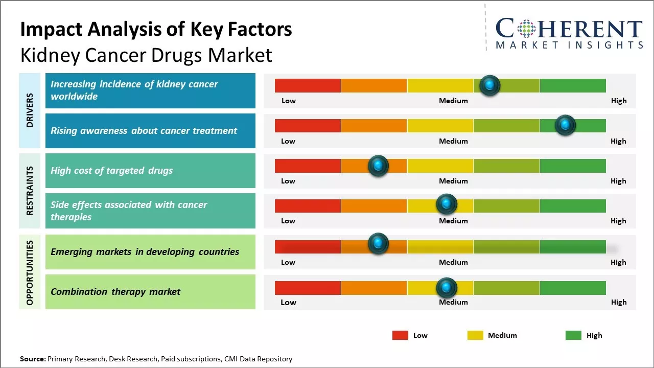 Kidney cancer drugs Market Key Factors