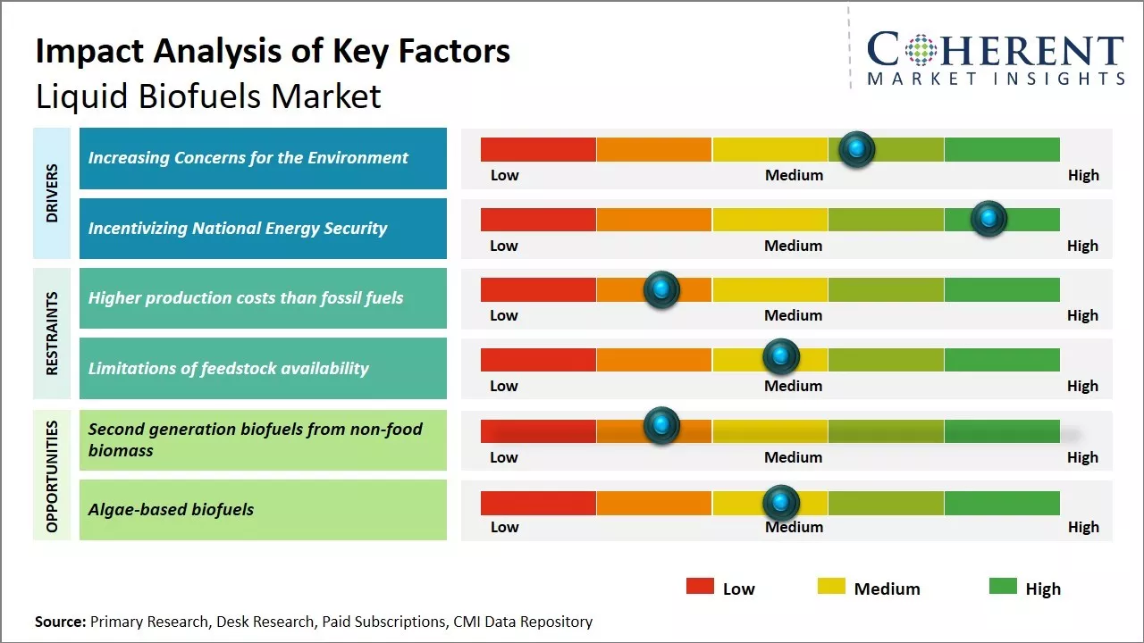 Liquid Biofuels Market Key Factors