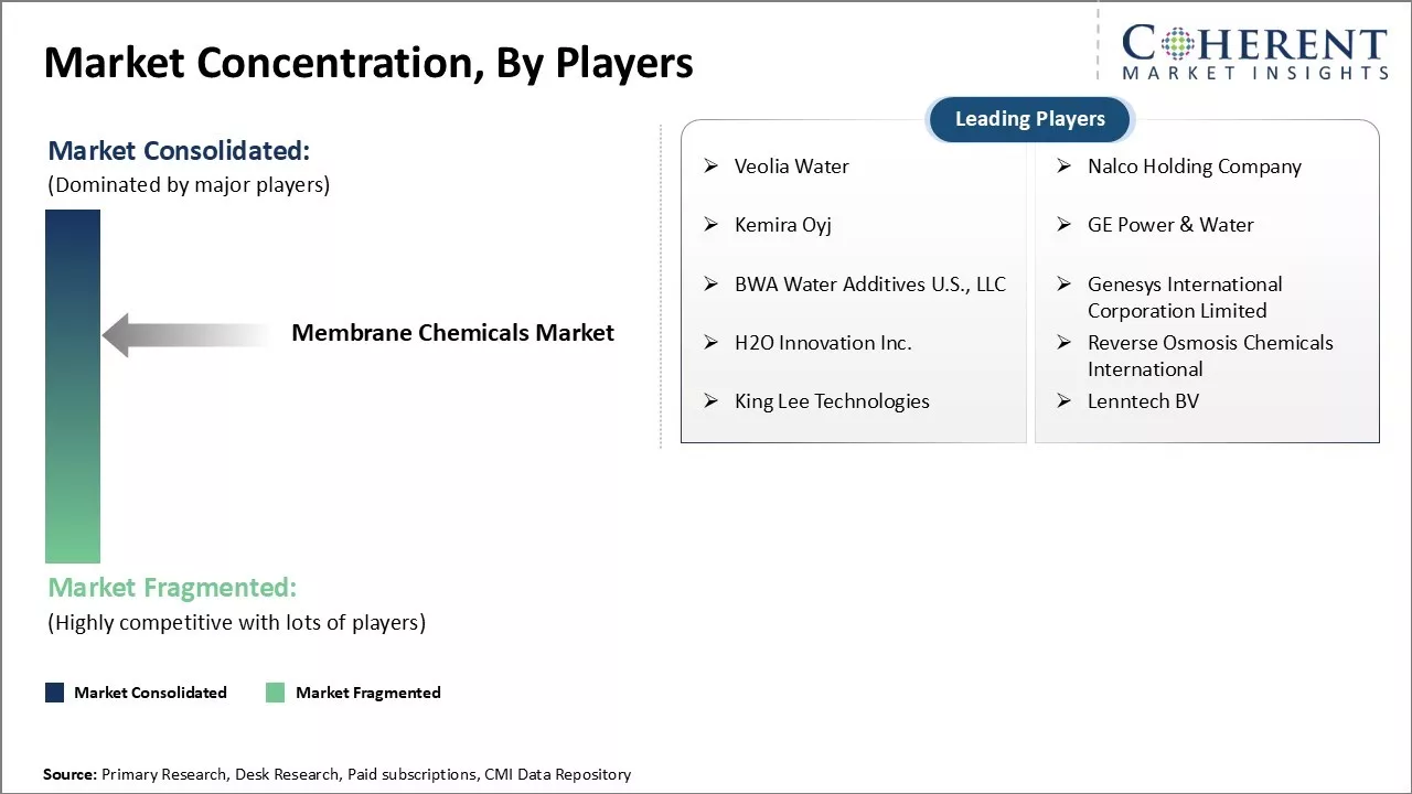 Membrane Chemicals Market Concentration By Players