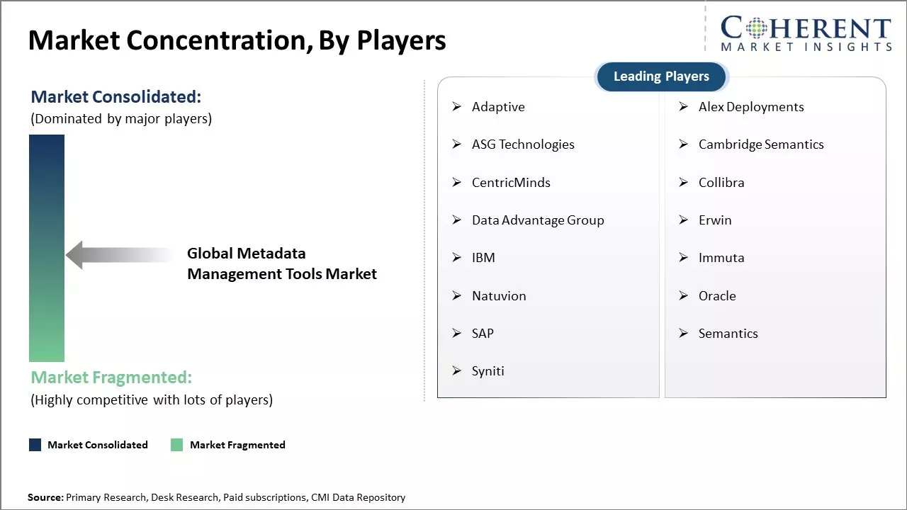 Metadata Management Tools Market Concentration By Players