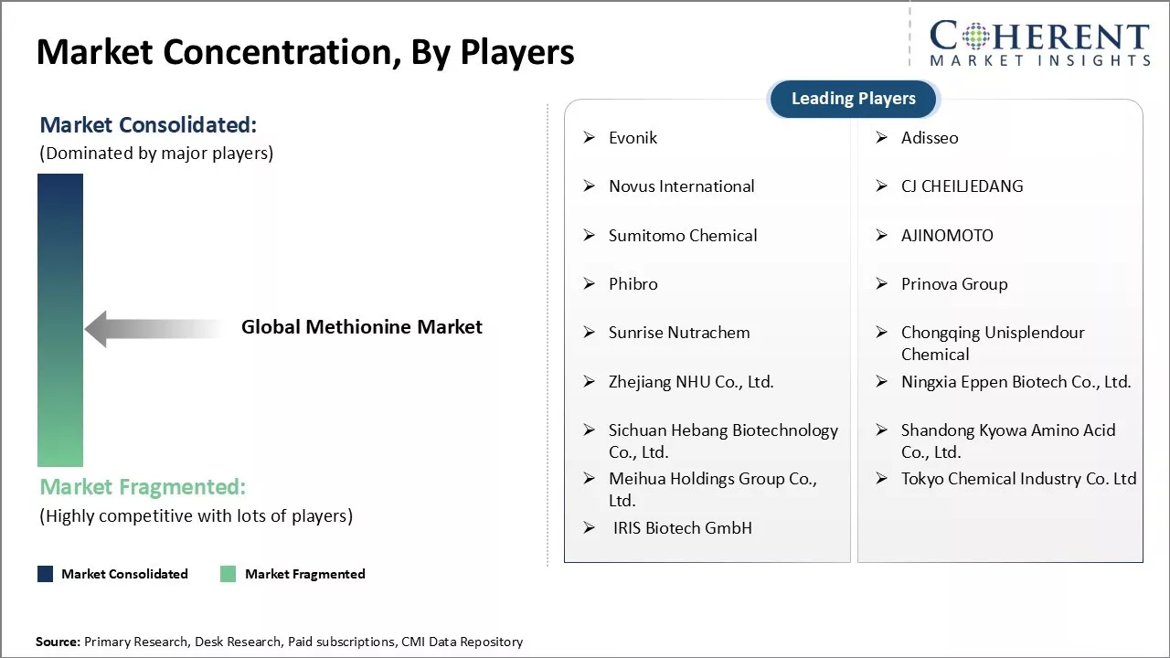 Methionine Market Concentration By Players