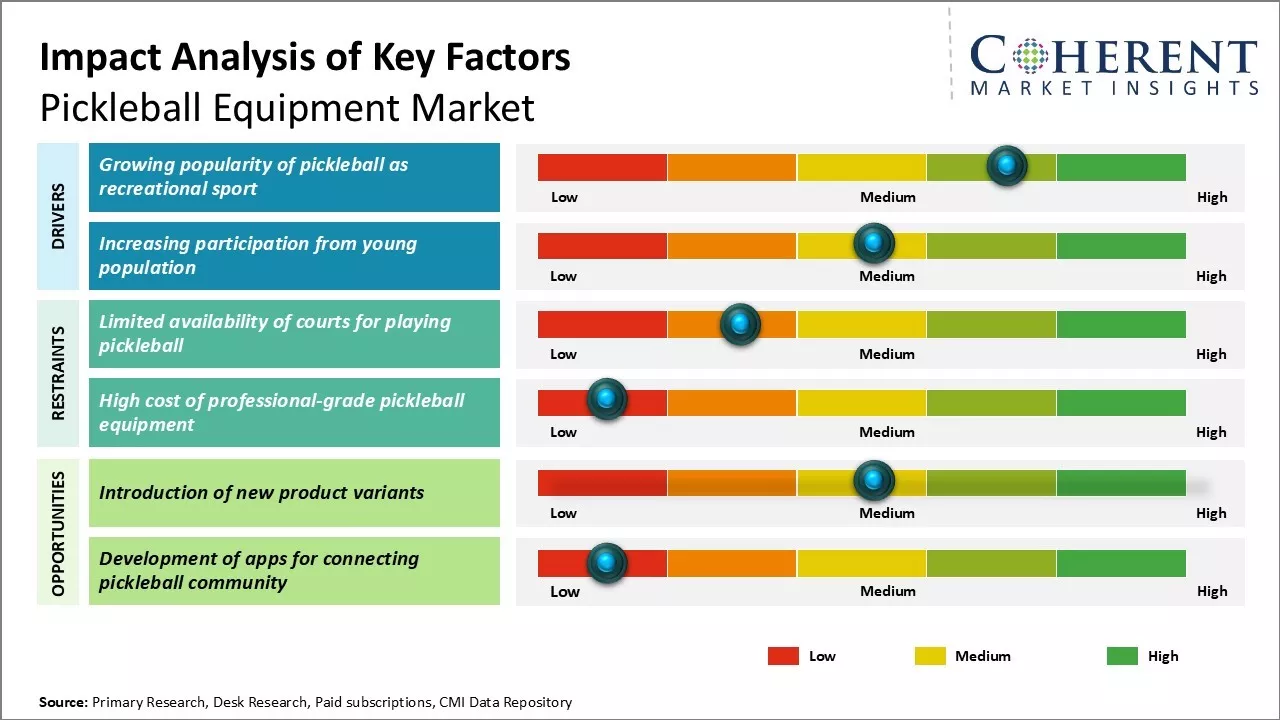 Pickelball Equipment Market Key Factors