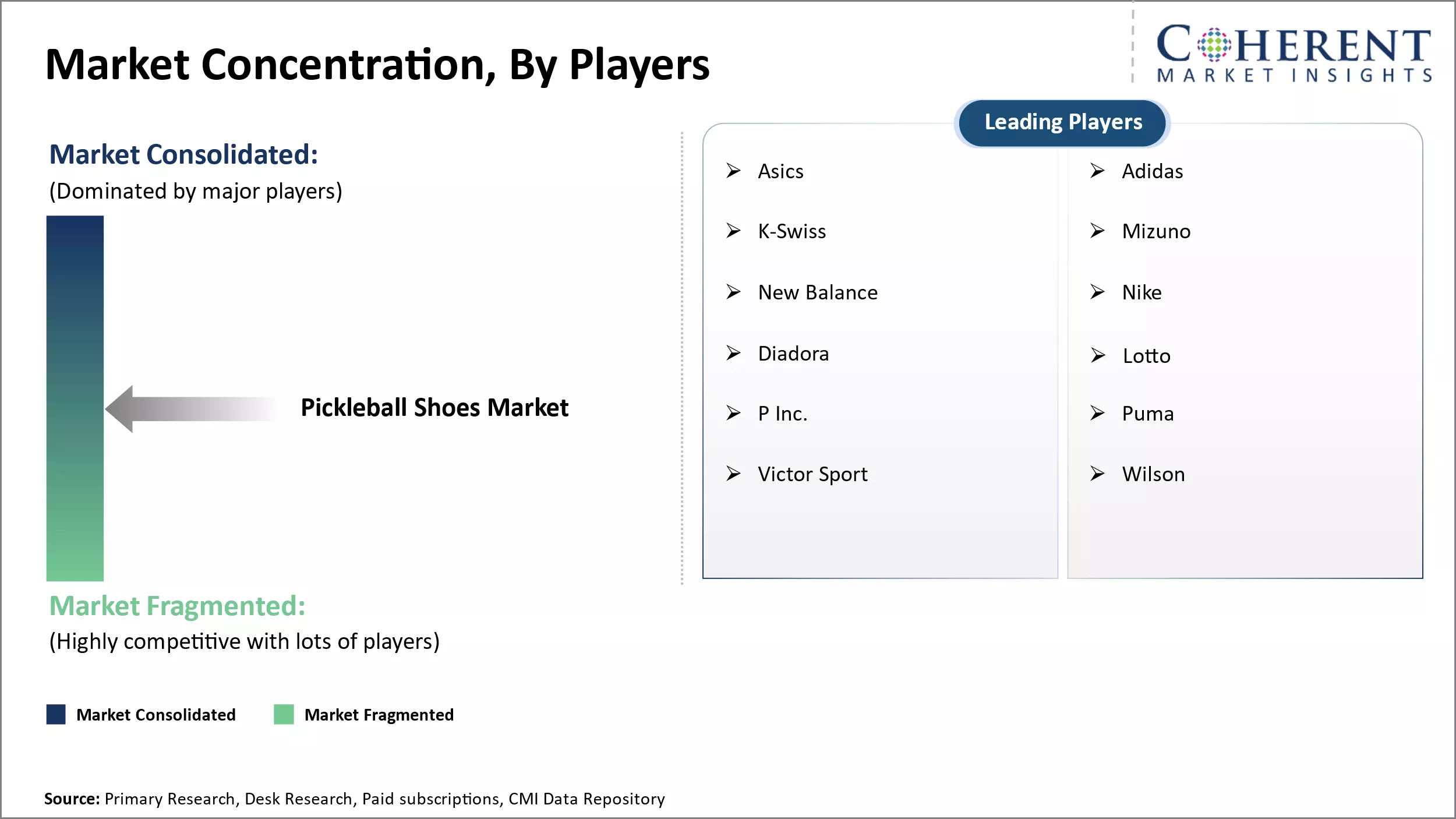 Pickleball Shoes Market Concentration By Players