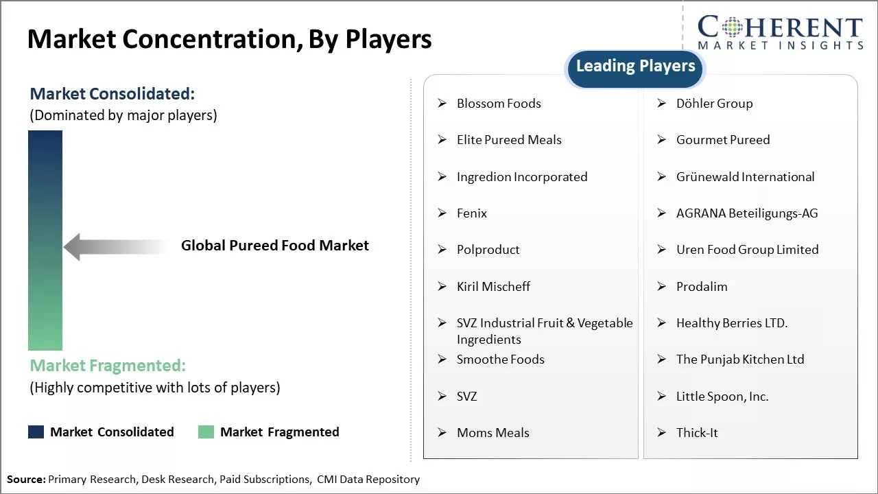 Pureed Food Market Concentration By Players