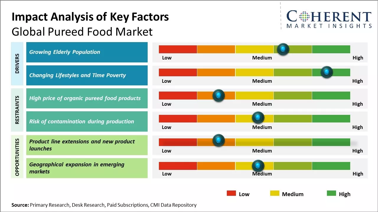 Pureed Food Market Key Factors
