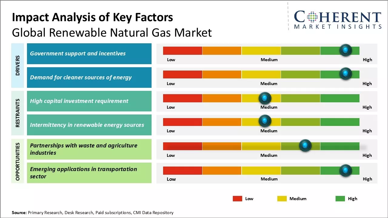 Renewable Natural Gas Market Key Factors