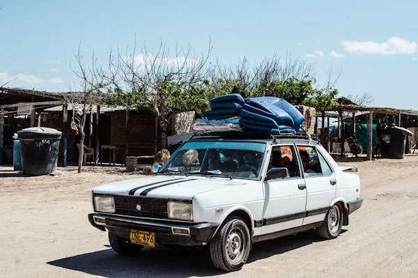 Roof racks are a game changer 