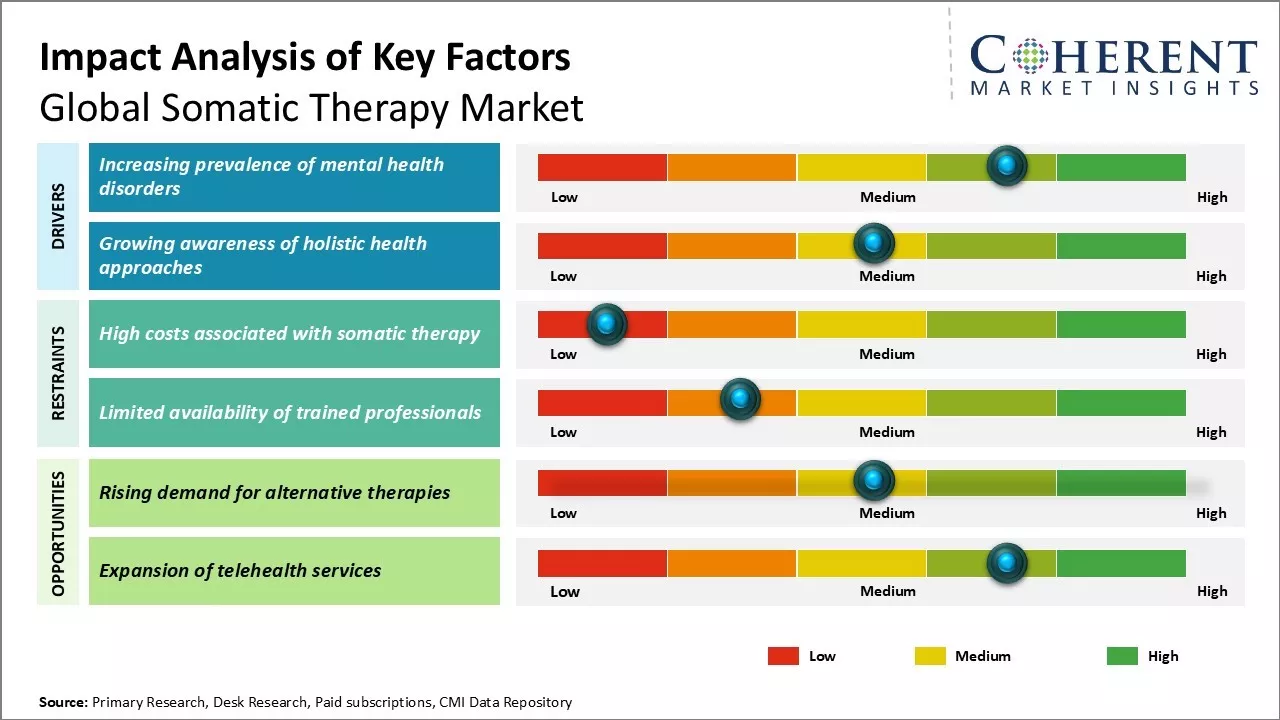 Somatic Therapy Market Key Factors