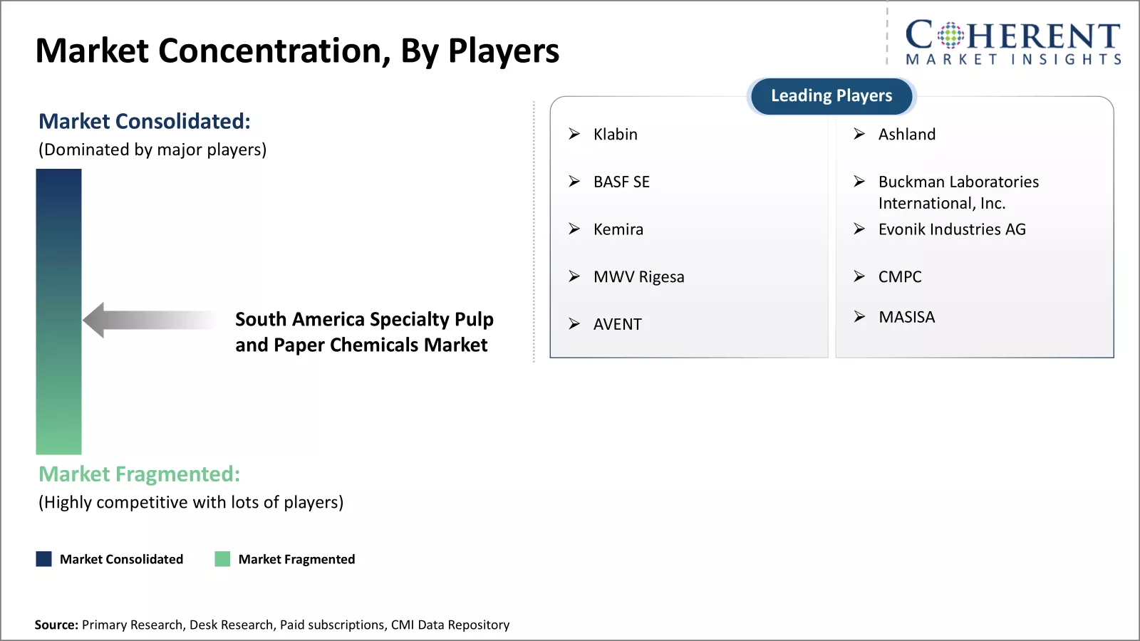 South America Specialty Pulp And Paper Chemicals Market Concentration By Players