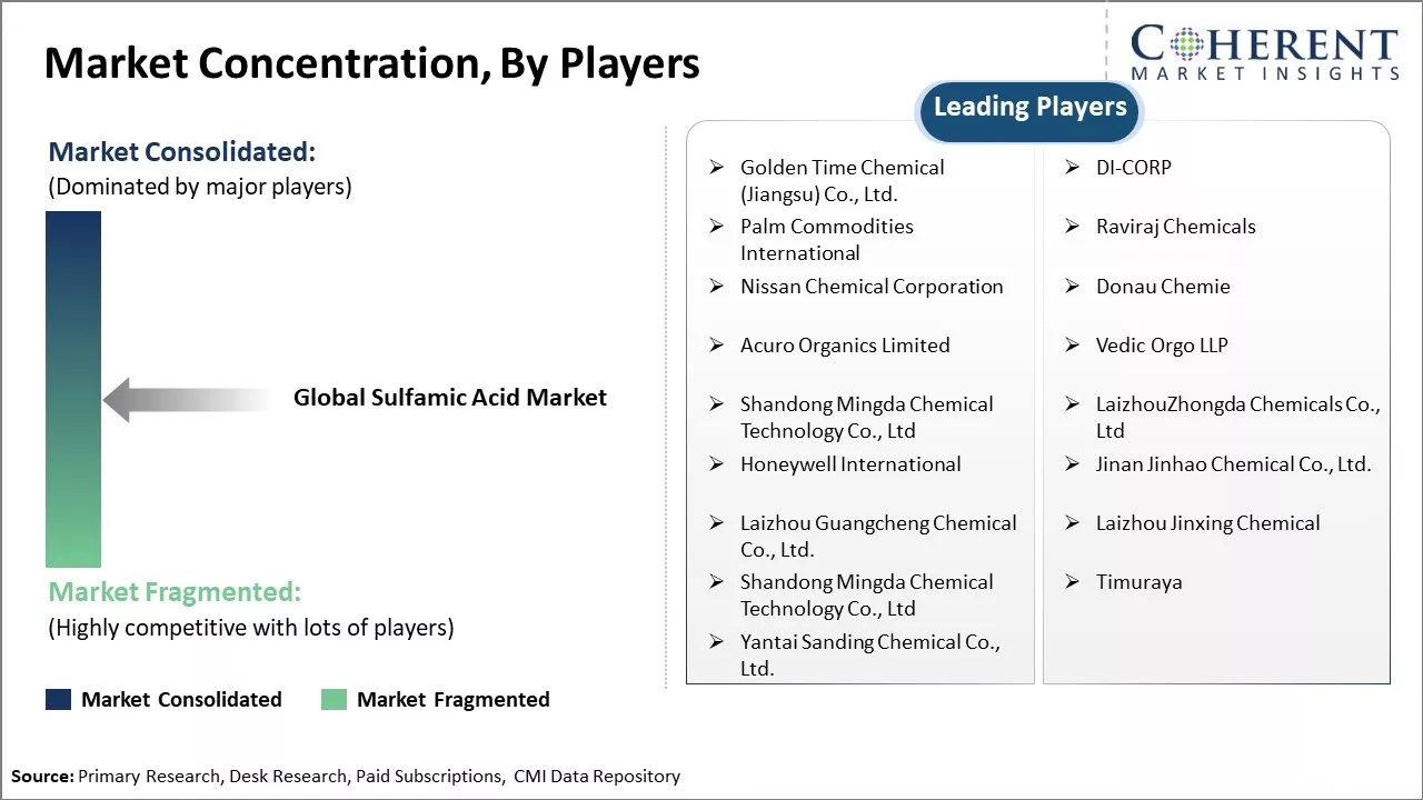 Sulfamic Acid Market Concentration By Players