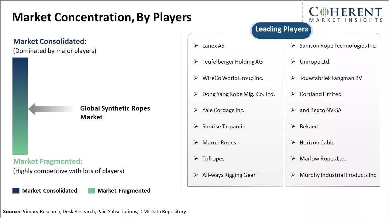 Synthetic Ropes Market Concentration By Players