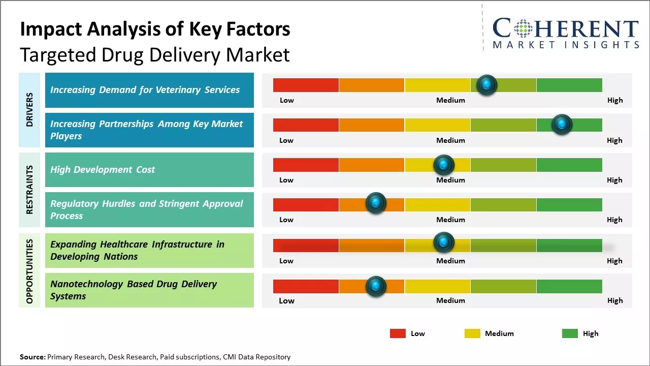 Targeted Drug Delivery Market Key Factors