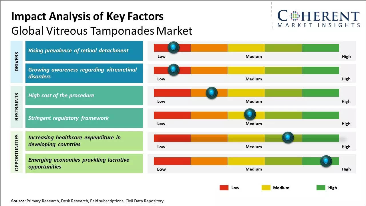 Vitreous Tamponades Market Key Factors