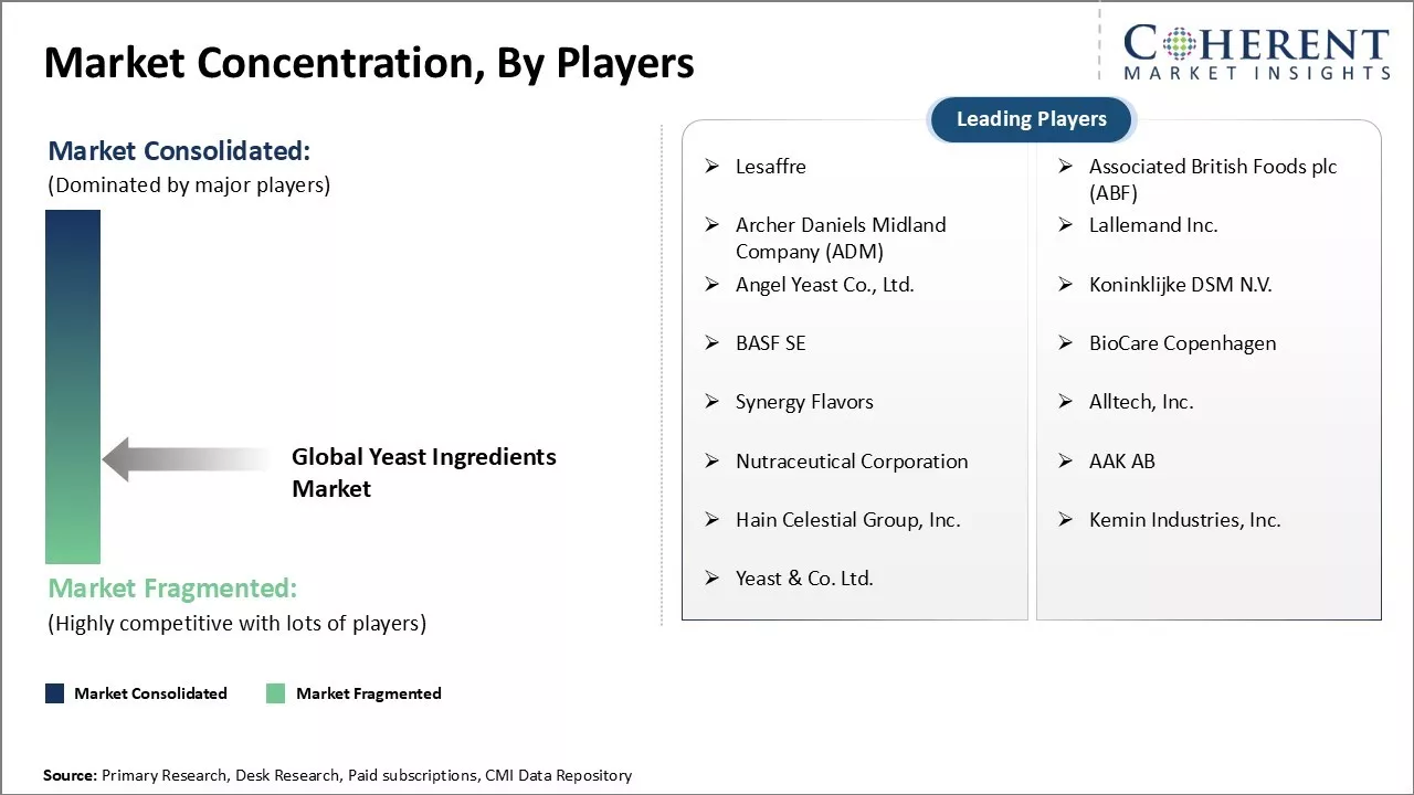 Yeast Ingredients Market Concentration By Players